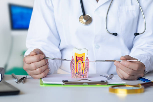 Best Emergency Dental Care for Broken or Chipped Teeth in Pymatuning Central, PA